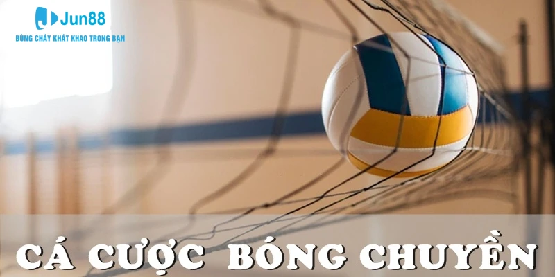 Các Cược Bóng Chuyền