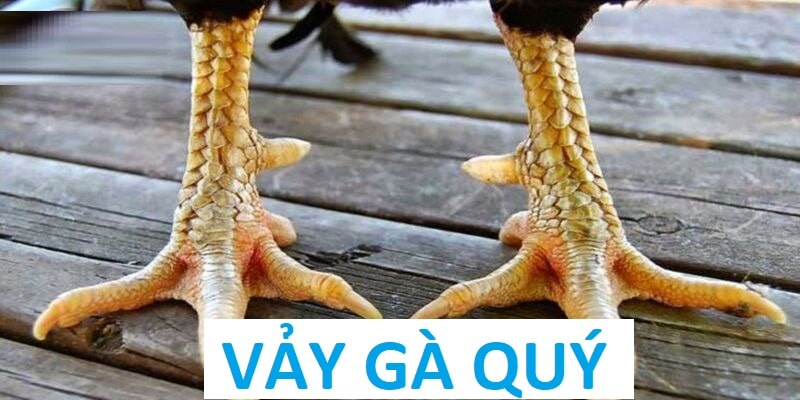 Vảy Gà Quý - Bí Quyết Vàng Để Nhận Diện Các Loại Vảy Hiếm